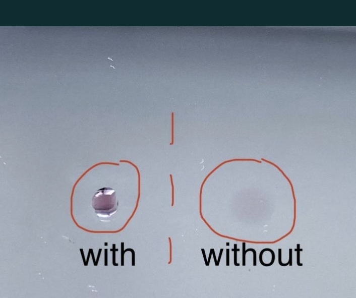 1000037373.jpg