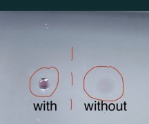 1000037373.jpg