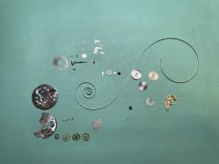 IMG_5404.jpg