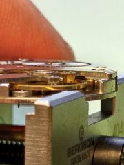 20260811_154839.jpg