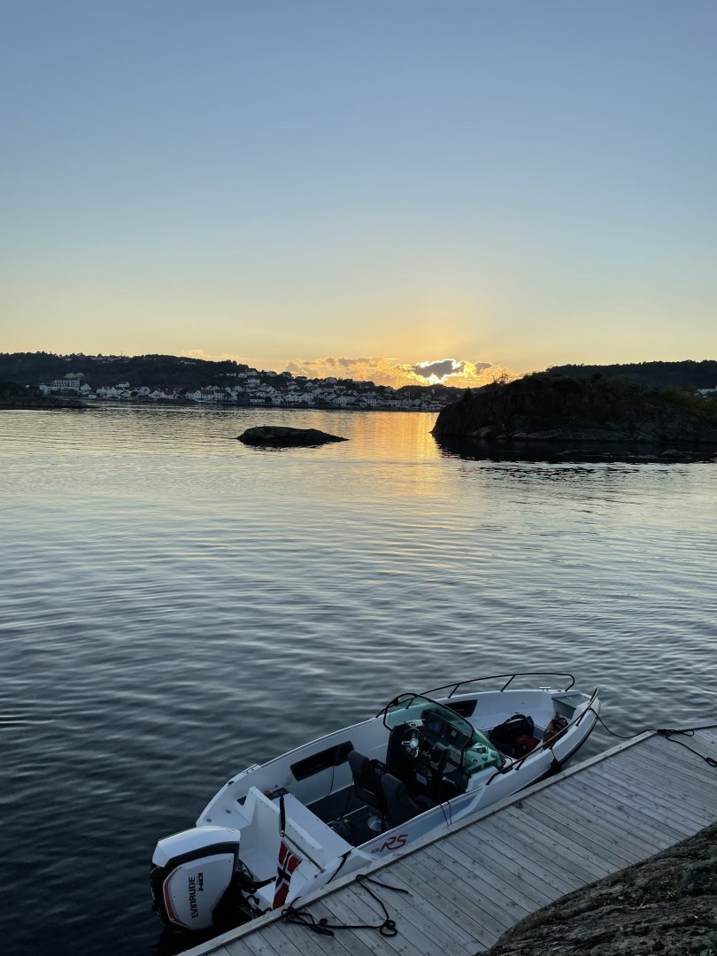 IMG_0800.jpeg