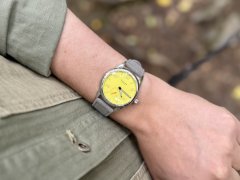 IMG_5241.jpeg