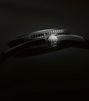 IMG_1342.jpeg