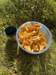 IMG_1210.jpeg