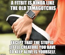 1000007682.jpg