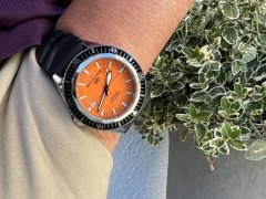 IMG_7098.jpeg