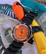 IMG_2624.jpeg