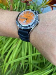 IMG_4585.jpeg