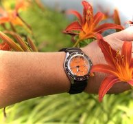 IMG_4548.jpeg