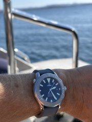 IMG_1408.jpeg