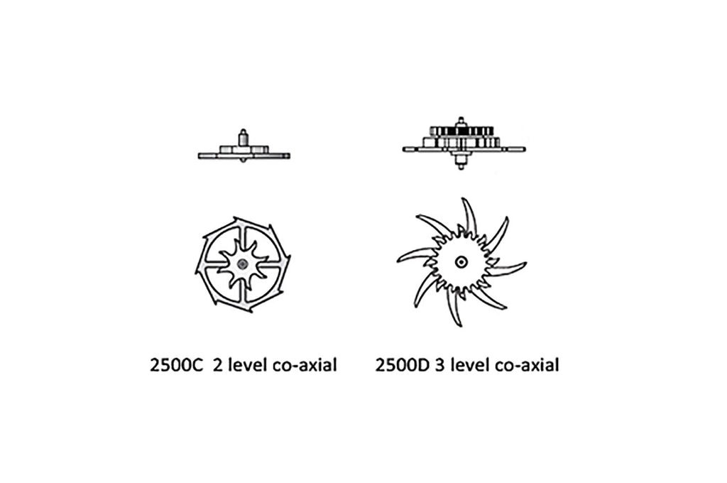 1000007735.jpg
