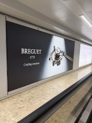 IMG_6444.jpeg