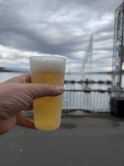 IMG_6459.jpeg