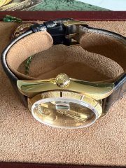 IMG_1918.jpeg
