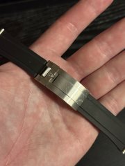IMG_7984.jpeg