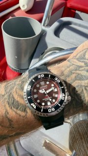 IMG_5333.jpeg