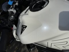 IMG_5883.jpeg