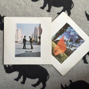 IMG_3524.jpeg