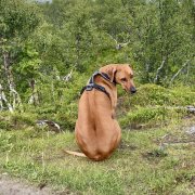 IMG_5357.jpeg