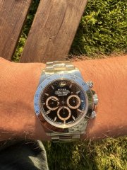 IMG_3753.jpeg