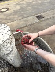 IMG_1271.jpeg