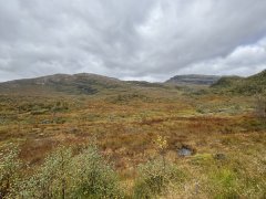 IMG_3904.jpeg