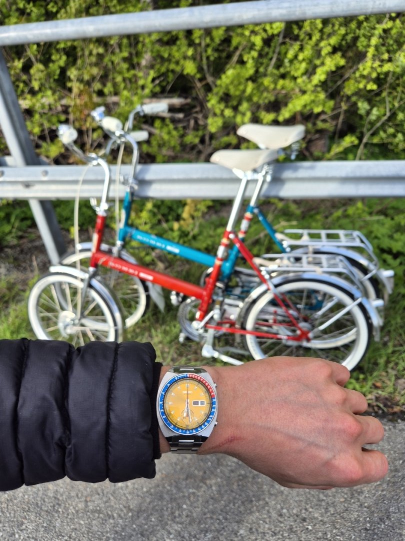 1000038537.jpg