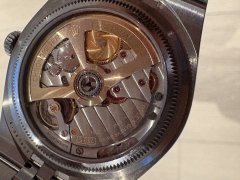 IMG_8557.jpeg