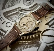 IMG_5479.jpeg IMG_5479.jpeg