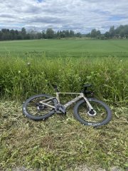 IMG_5708.jpeg
