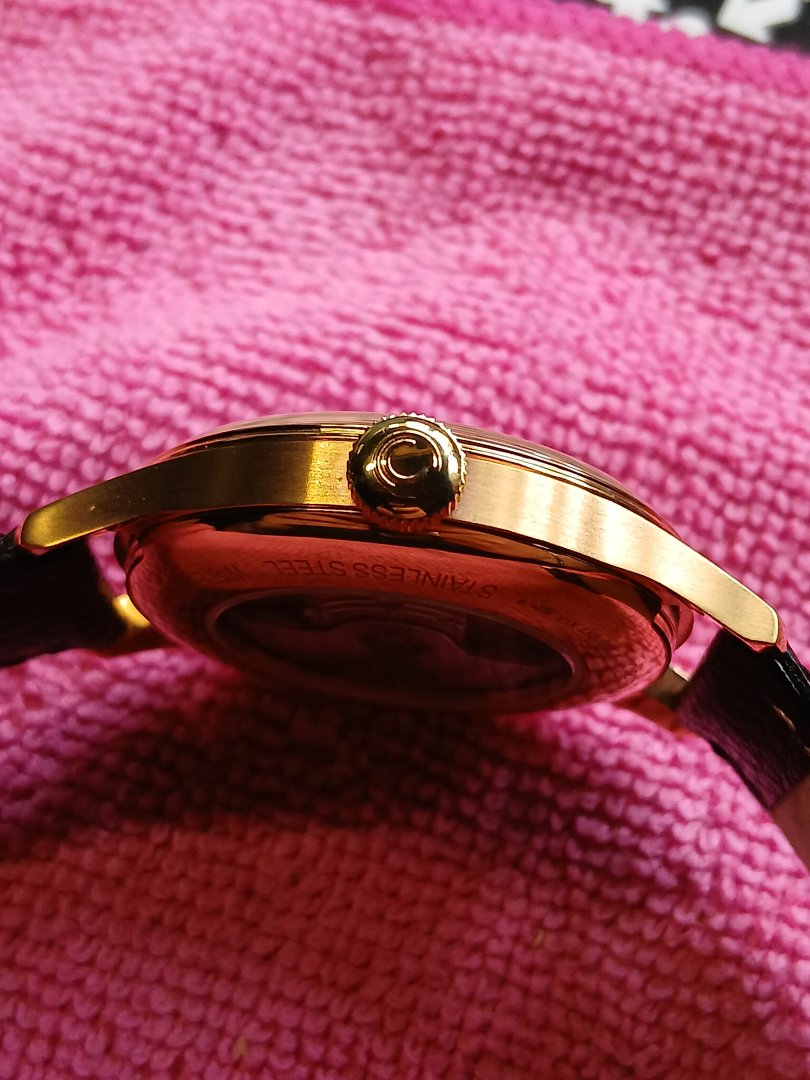 20260920_134335.jpg