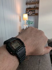 1000031856.jpg