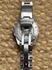 IMG_2255.jpeg