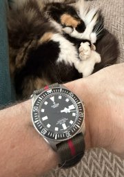 IMG_4039.jpeg