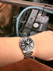 IMG_7887.jpeg