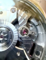 IMG_5353.jpeg