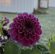 IMG_6089.jpeg