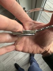 IMG_8375.jpeg
