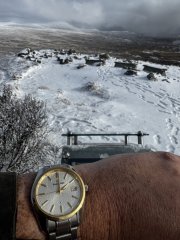 IMG_3813.jpeg