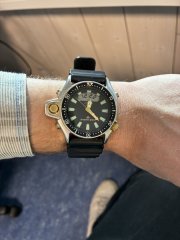 IMG_9385.jpeg