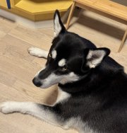 IMG_6114.jpeg