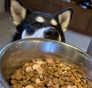 IMG_6117.jpeg