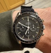 IMG_3548.jpeg