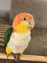 IMG_4693.jpeg