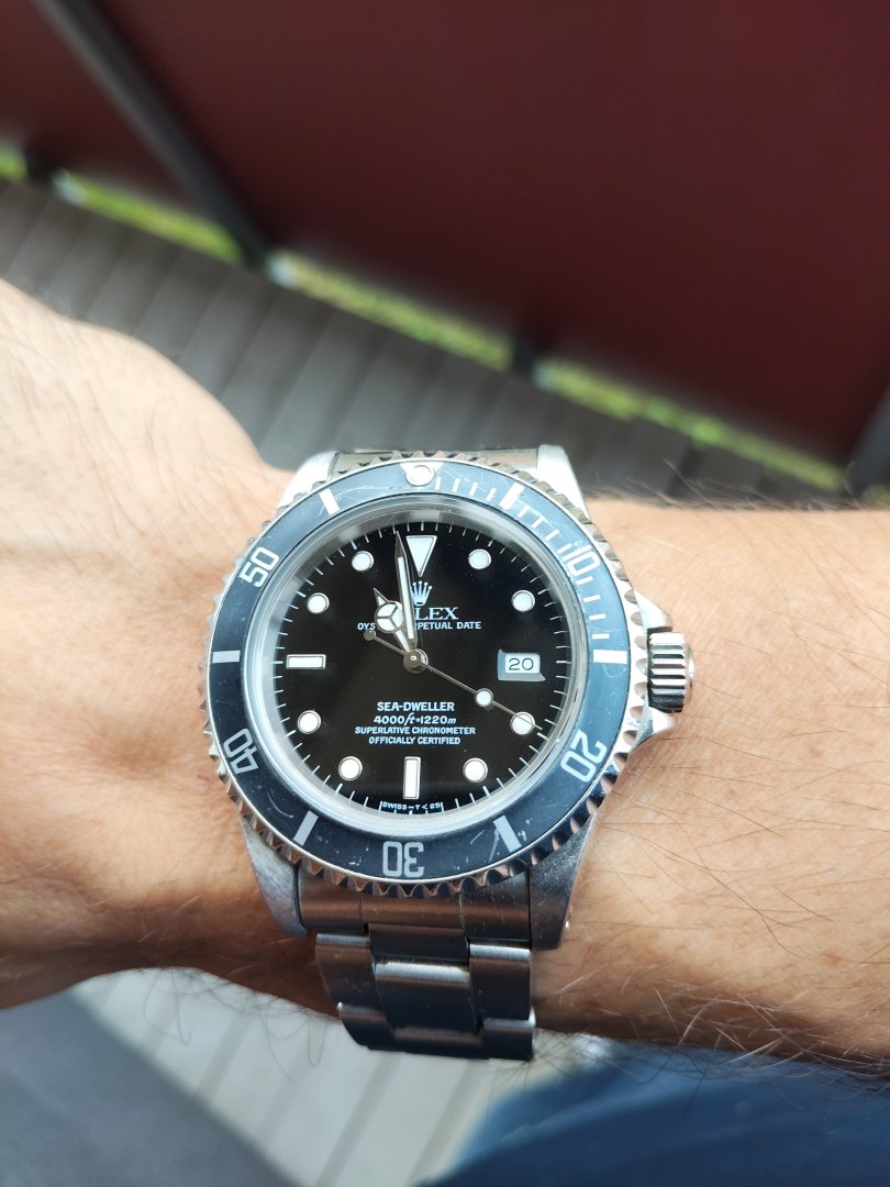 1000042456.jpg
