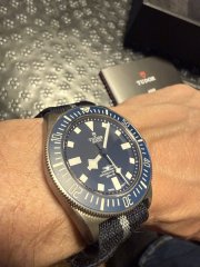 IMG_3813.jpeg IMG_3813.jpeg