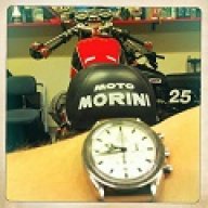 morini