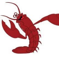 lobster