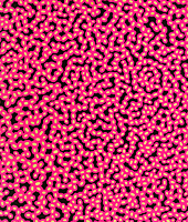 Yayoi Kusama, Bukowskis 2012