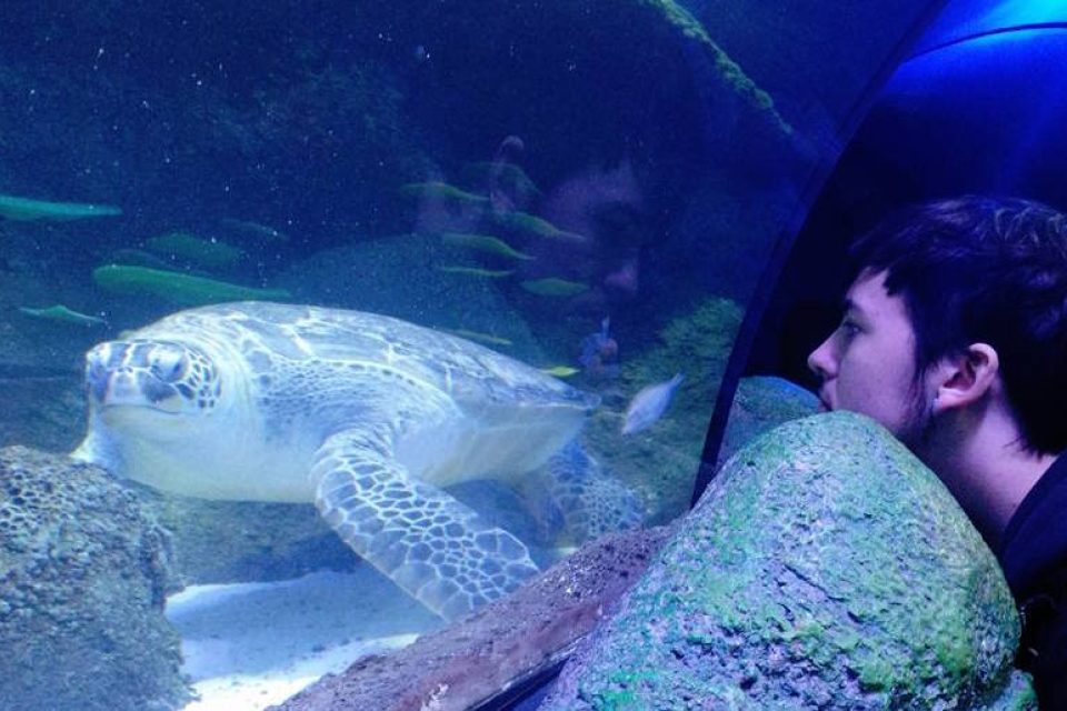 A young person in an aquarium looks at large turtle